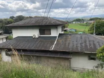 外壁の汚れ