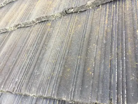 屋根のコケ