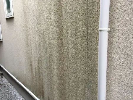 日陰部分の外壁コケ