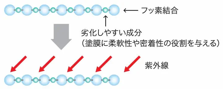 完全交互結合型フッ素樹脂の構造