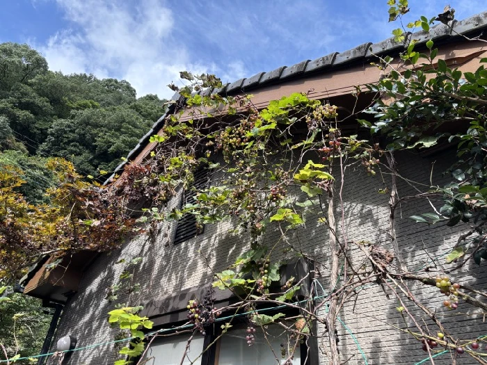 田川郡添田町｜外壁塗装前の破風板